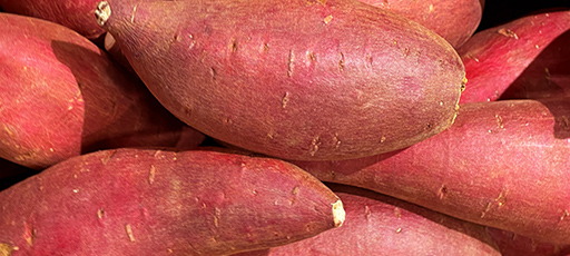 紅芋